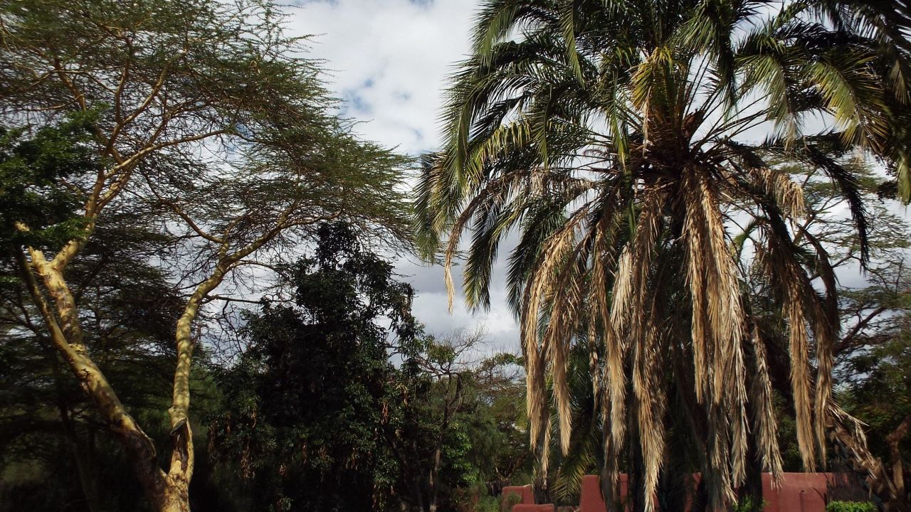 Amboseli Serena Safari Lodge Hotel-Mai 2024