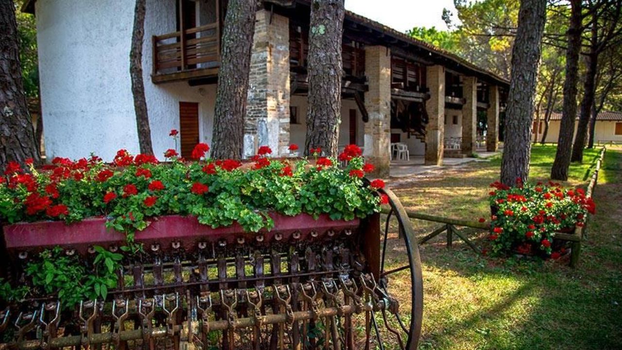 Belvedere Pineta Camping Village Hotel-Juni 2025