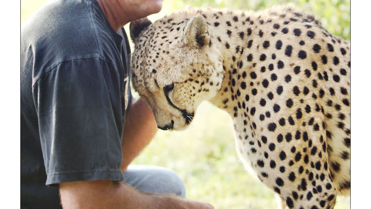 Emdoneni Lodge Hotel-April 2025