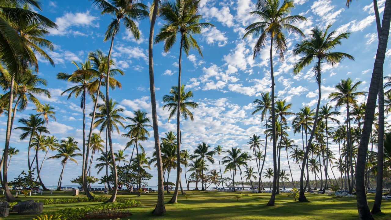 Grand Paradise Samana Hotel-Mai 2025