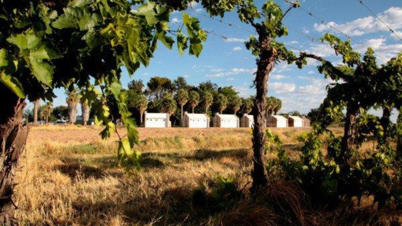 Kalahari Farmhouse Hotel-April 2025
