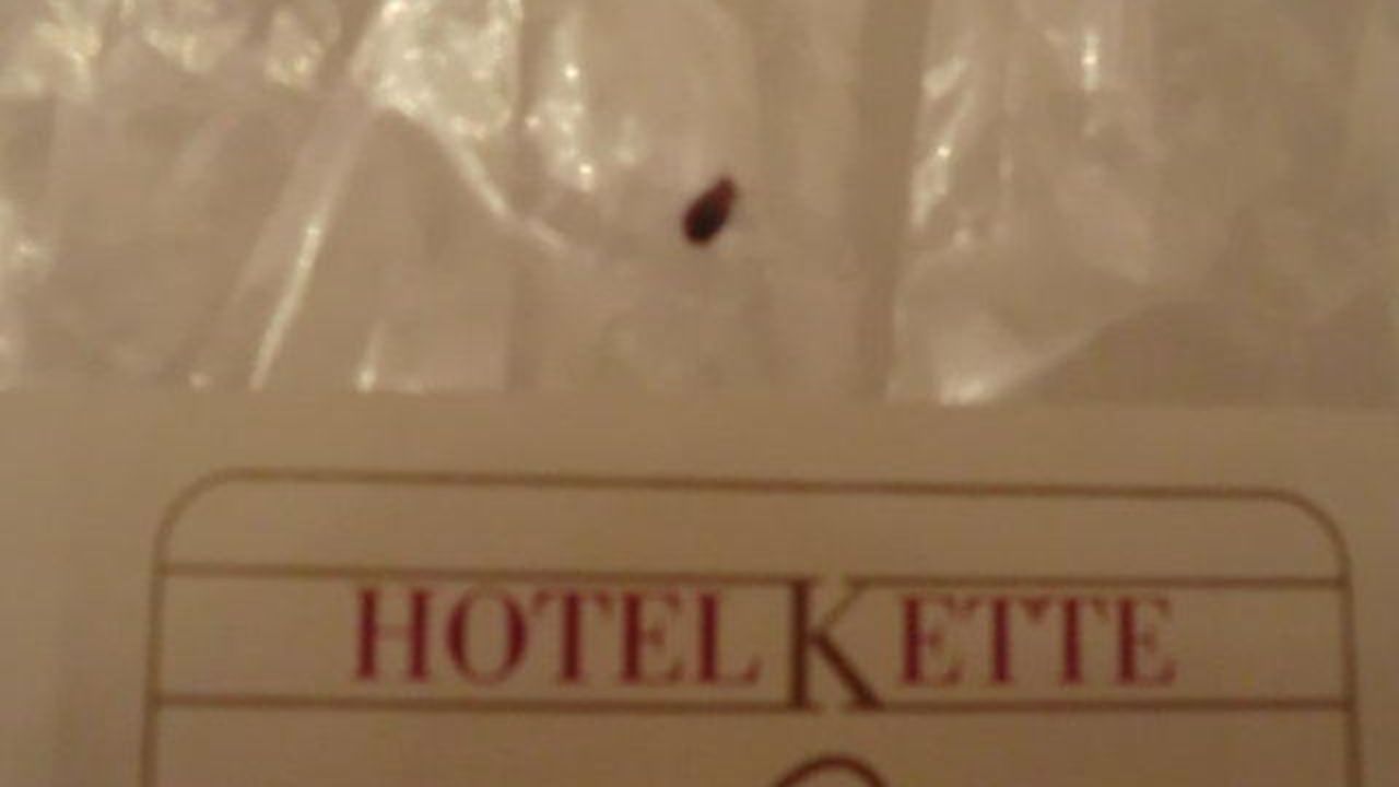 Kette Hotel-Mai 2024