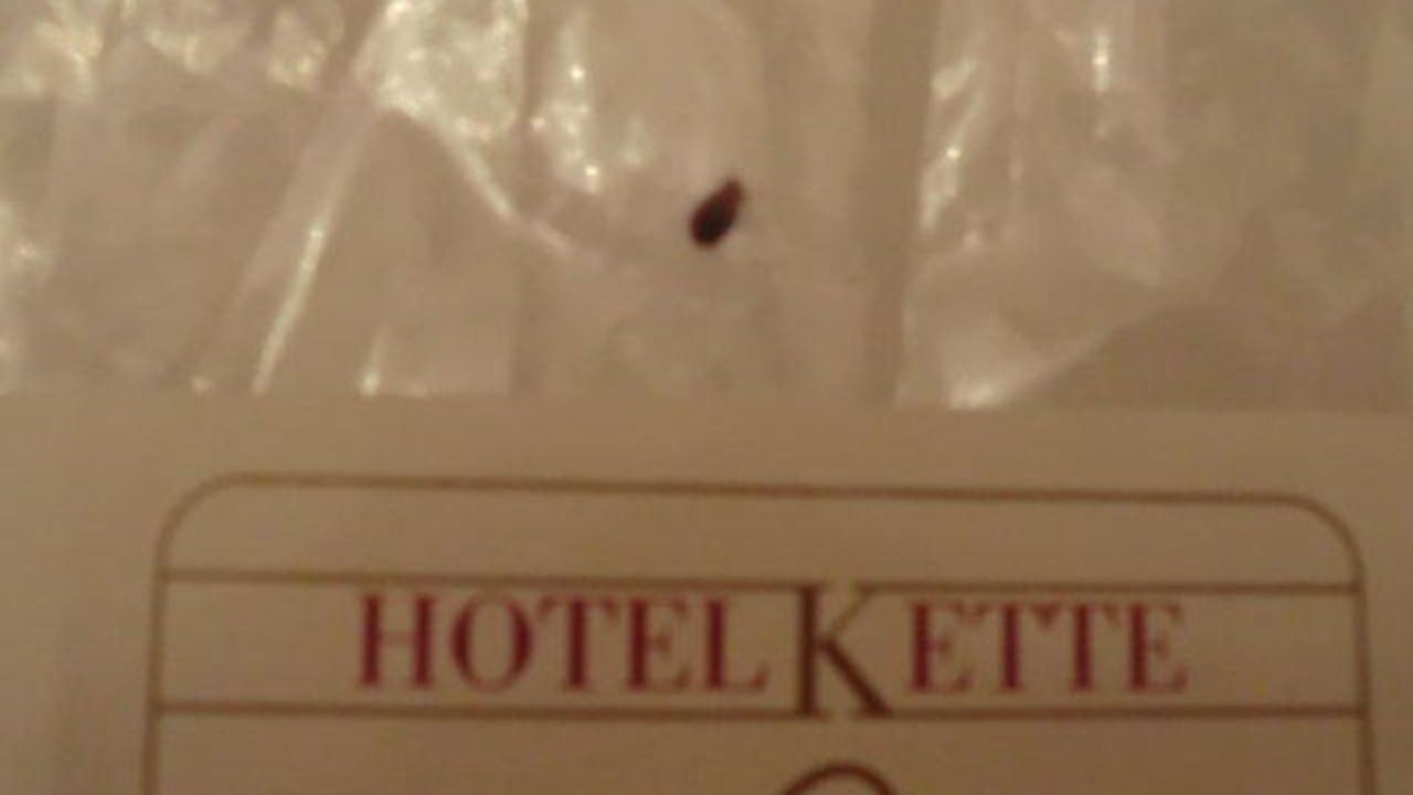 Kette Hotel-Juni 2025