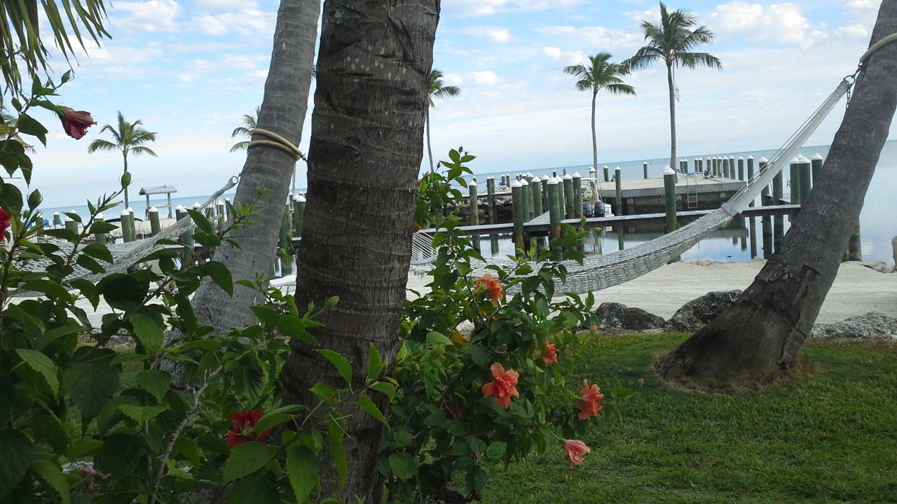 La Siesta Resort & Marina Hotel-April 2025