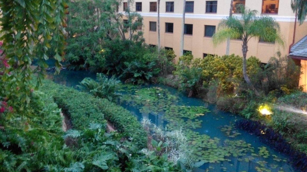 Loews Royal Pacific Resort At Universal Orlando Hotel-April 2025