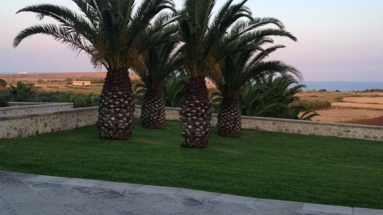 Masseria Panareo Hotel-Juni 2025