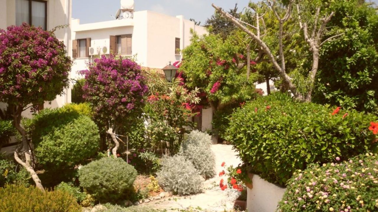 Paphos Gardens Holiday Resort Hotel-Mai 2024