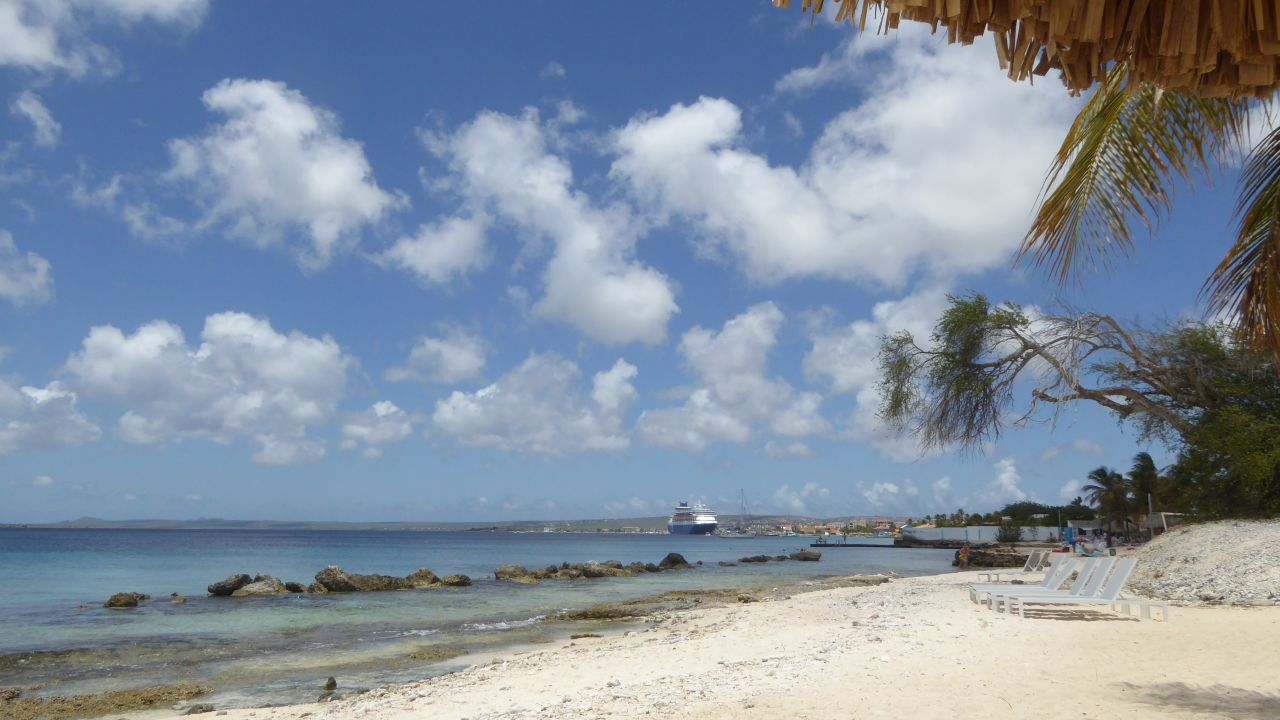 Plaza Resort Bonaire Hotel-Mai 2025