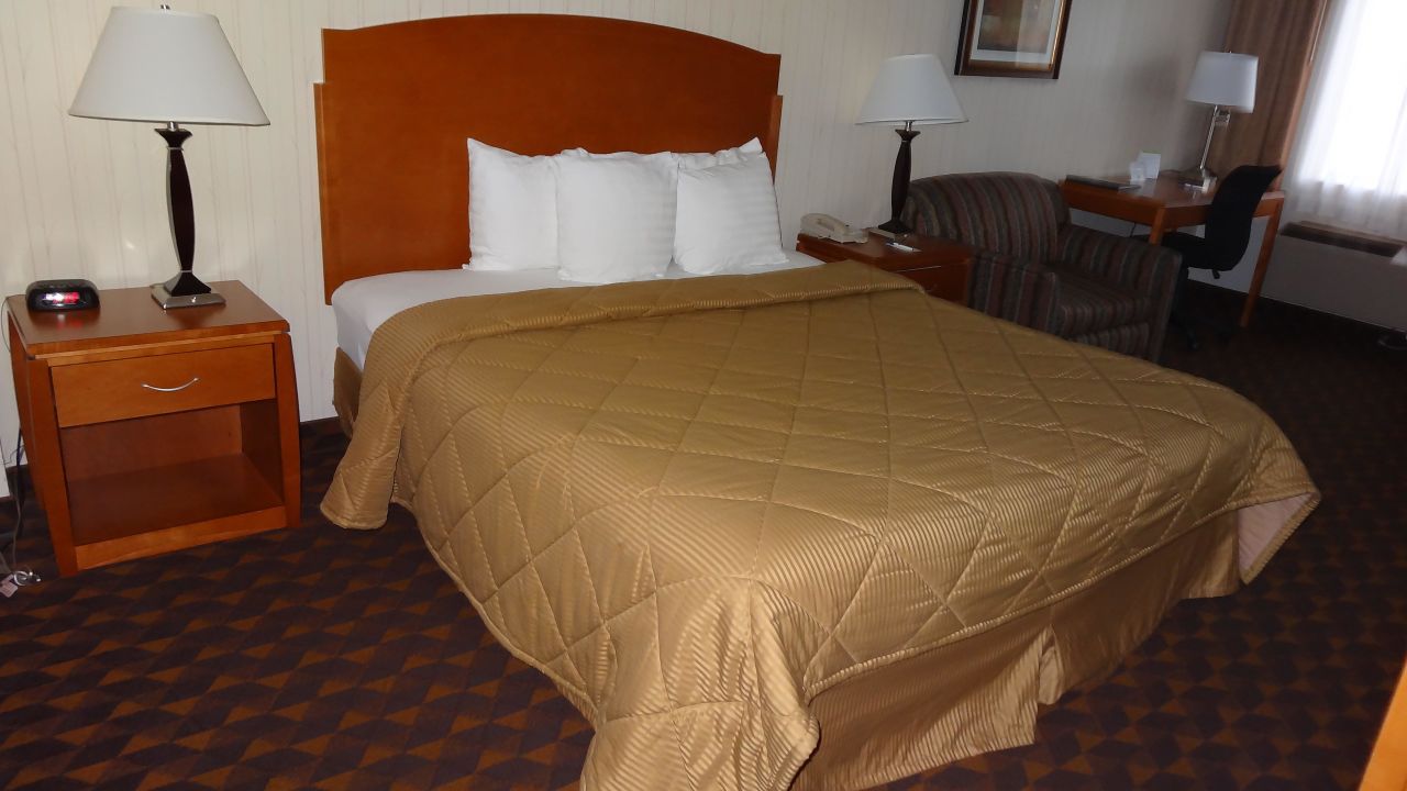 Quality Inn & Suites Los Angeles Airport - LAX Hotel-Mai 2024