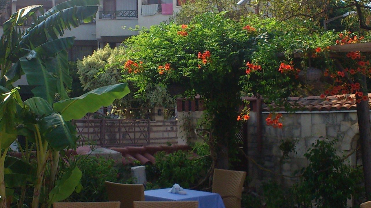 Side Kleopatra Beach Hotel-April 2025