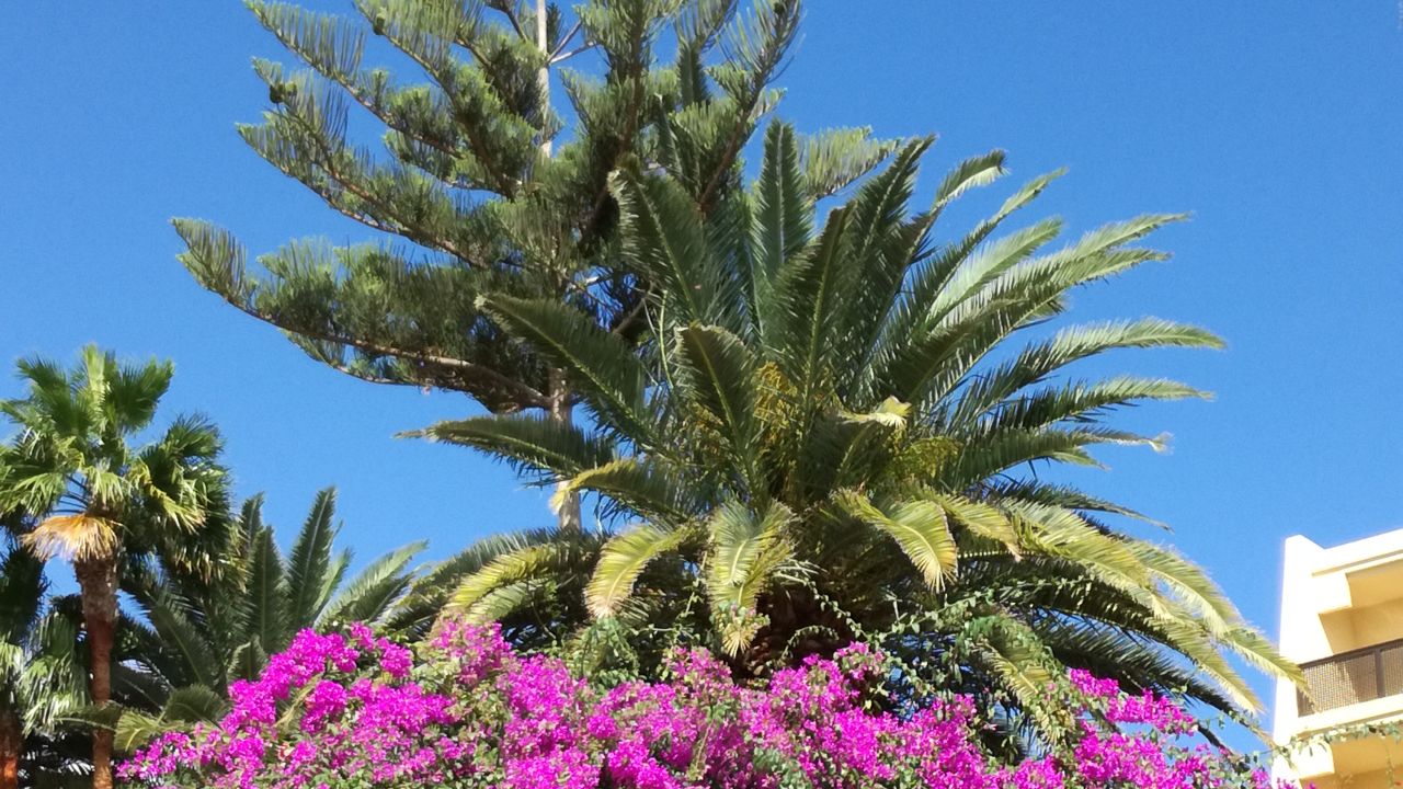 Sol Fuerteventura Jandia Hotel-Juni 2025