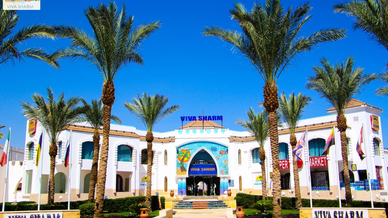 Viva Sharm Hotel-Mai 2024