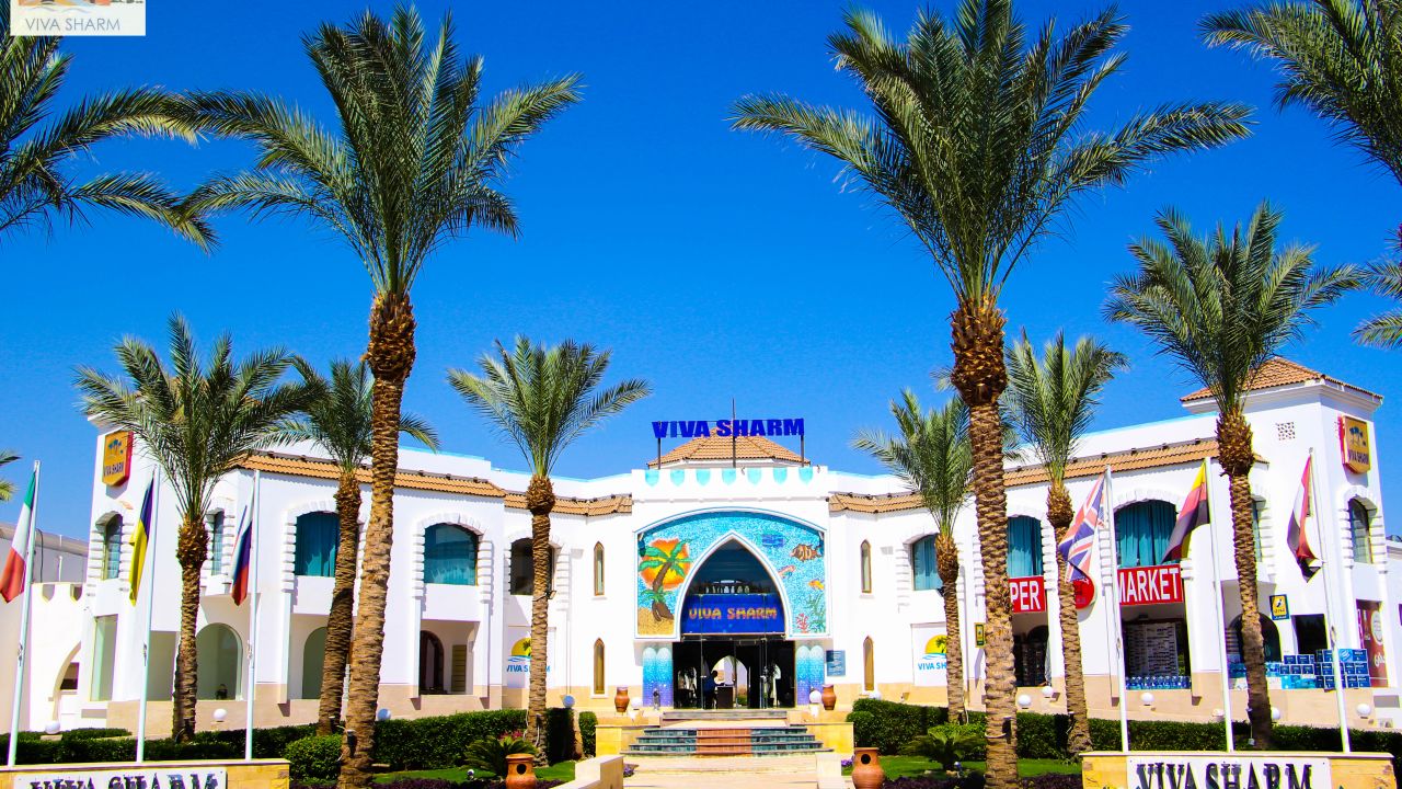 Viva Sharm Hotel-April 2025