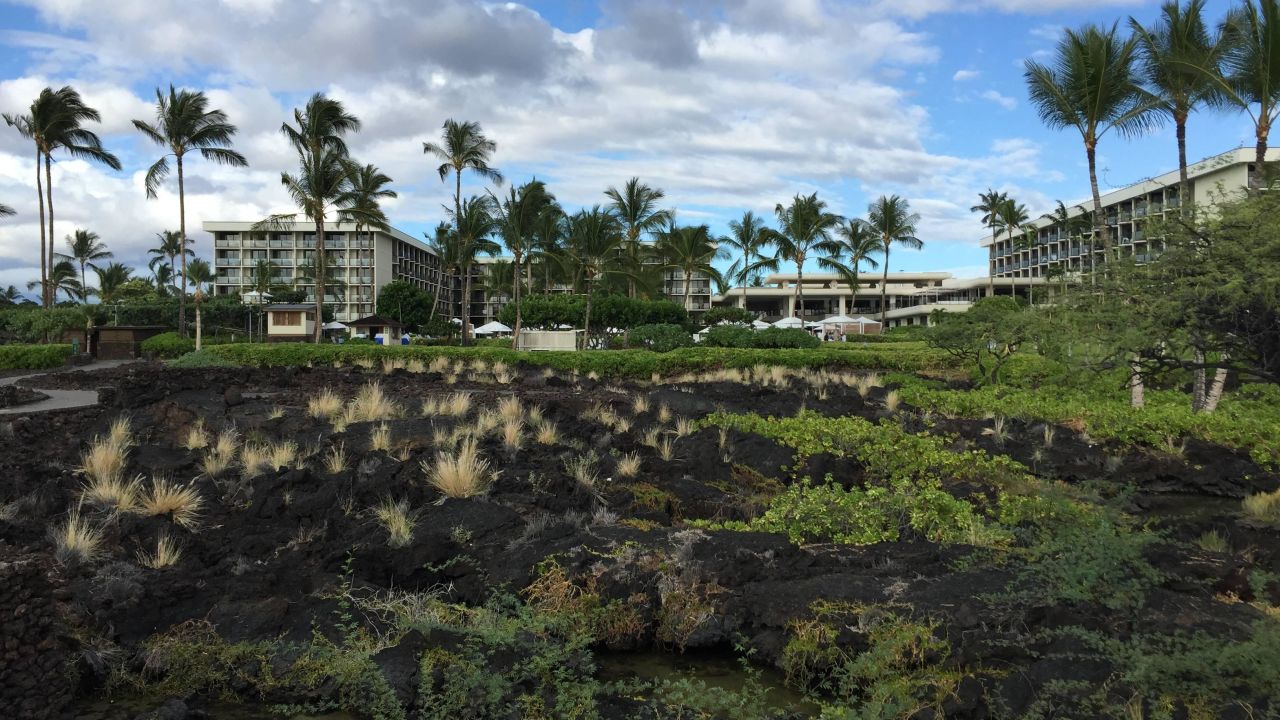 Waikoloa Beach Marriott Hotel-April 2024